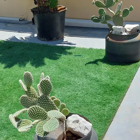 La Terrazza Illuminata Luxury Rooftop Apartment Trapani